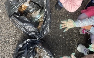 Sprzątanie Świata (8)