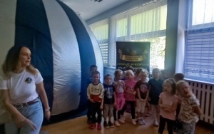 Tygryski i Pszczółki (1)