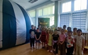 Tygryski i Pszczółki (2)