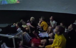 Tygryski i Pszczółki (3)