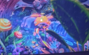 Tygryski i Pszczółki (6)