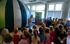 Tygryski i Pszczółki (8)