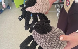 Klub Zdrowego Przedszklaka (2)