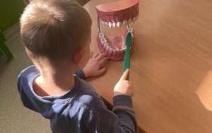 Klub Zdrowego Przedszklaka (3)