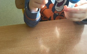 Klub Zdrowego Przedszklaka (5)