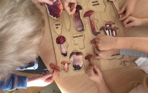 Klub Zdrowego Przedszklaka (2)