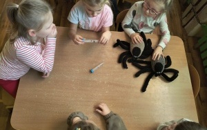 Klub Zdrowego Przedszklaka (1)