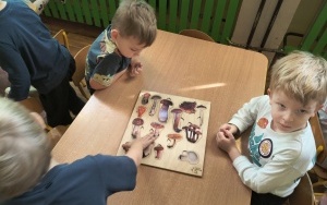 Klub Zdrowego Przedszklaka (5)