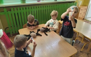 Klub Zdrowego Przedszklaka (7)