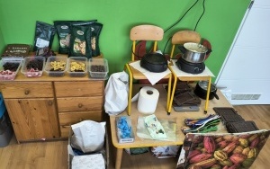 Motylki i Pszczółki (3)