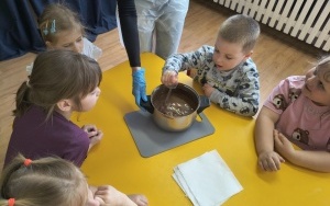 Motylki i Pszczółki (6)