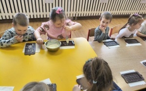 Motylki i Pszczółki (6)