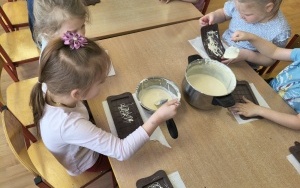 Motylki i Pszczółki (8)