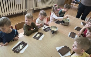 Motylki i Pszczółki (1)