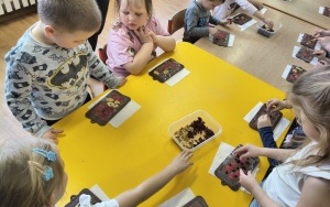 Motylki i Pszczółki (2)