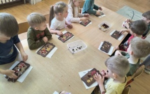 Motylki i Pszczółki (4)