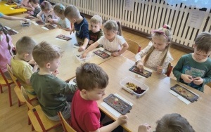 Motylki i Pszczółki (6)