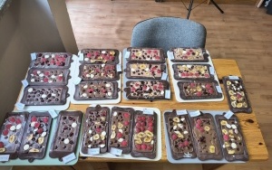 Motylki i Pszczółki (7)