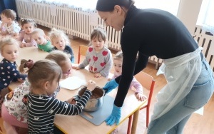 Misie i Pszczółki (2)