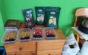 Misie i Pszczółki (3)