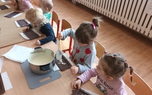 Misie i Pszczółki (7)