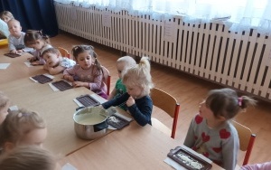 Misie i Pszczółki (9)