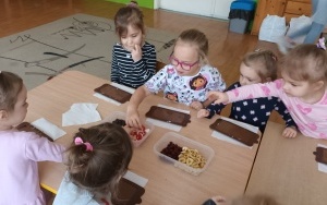 Misie i Pszczółki (4)