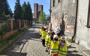 Motylki na spacerze (7)