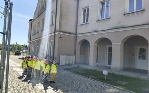 Motylki na spacerze (1)