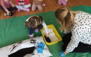 Misie (1)