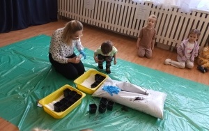 Misie (6)