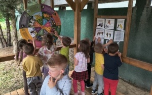 Pszczółki i Motylki (5)