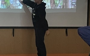 Tygryski (12)