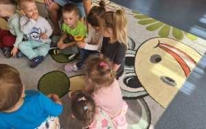 Misie (5)