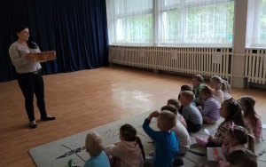 Motylki (1)