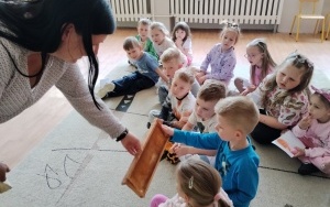 Motylki (2)
