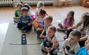 Motylki (3)