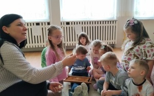 Motylki (4)