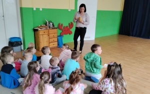 Motylki (6)