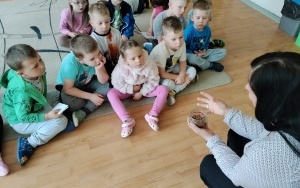 Motylki (8)