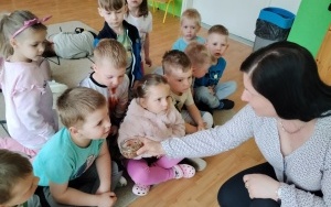 Motylki (9)