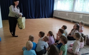 Motylki (1)