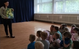 Motylki (5)