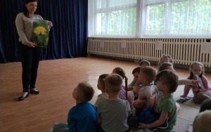 Motylki (6)