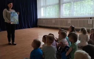 Motylki (7)