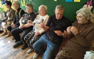 Pszczółki (6)