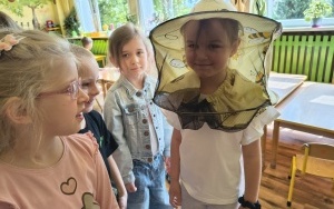 Pszczółki (6)