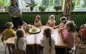 Pszczółki (6)