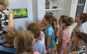 Pszczółki (5)