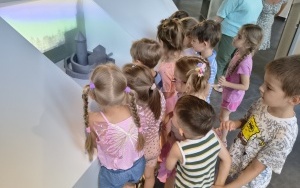 Pszczółki (6)